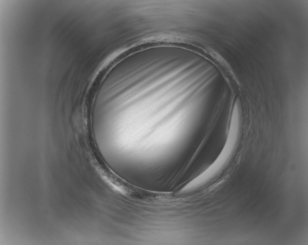 X0000080120981200612302006