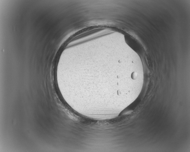 X0000080120983200612302006