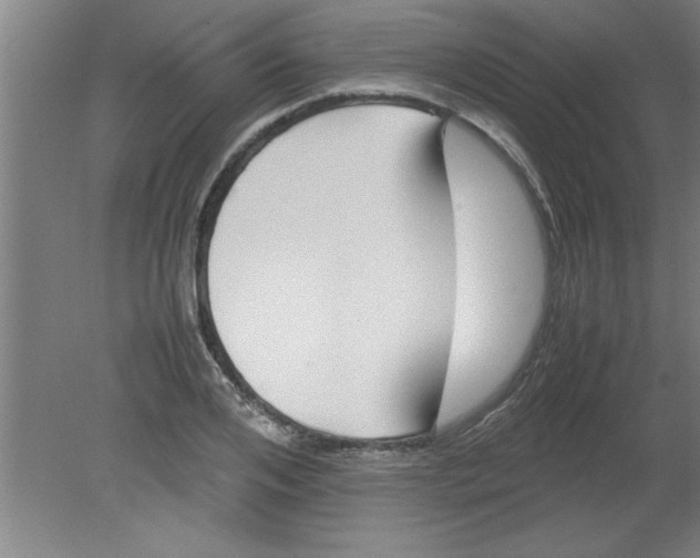 X0000080120984200612302006