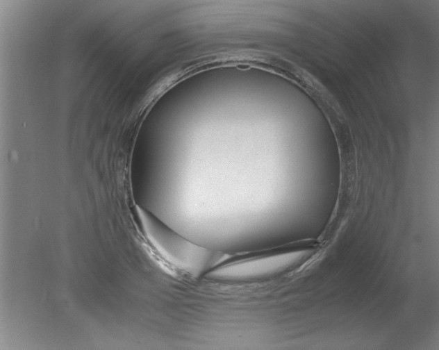 X0000080120985200612302006