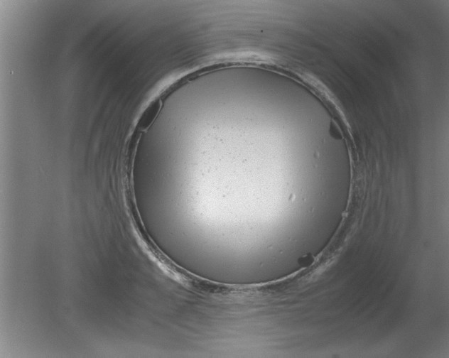 X0000080120989200612302006