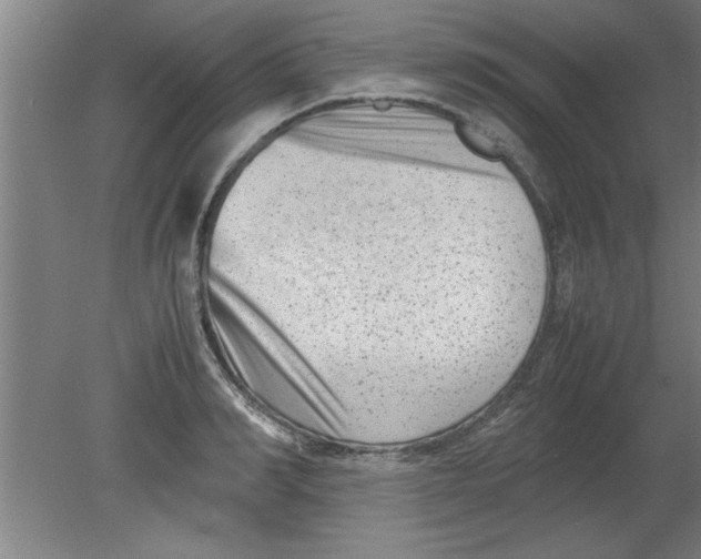 X0000080120990200612302006