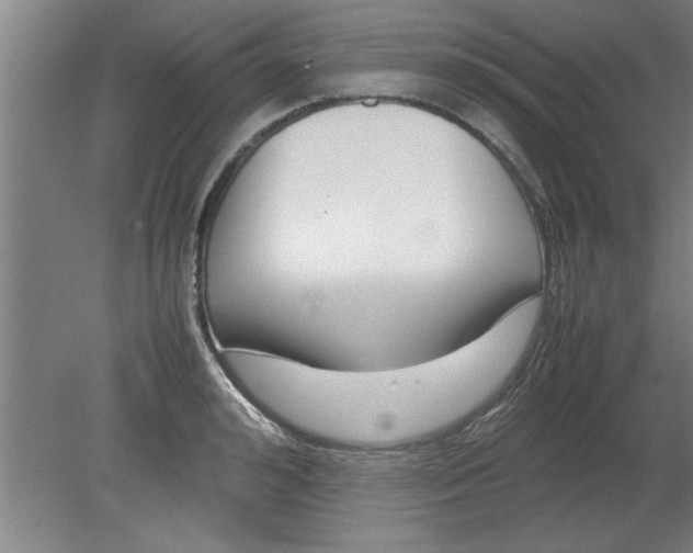 X0000080120992200612302005