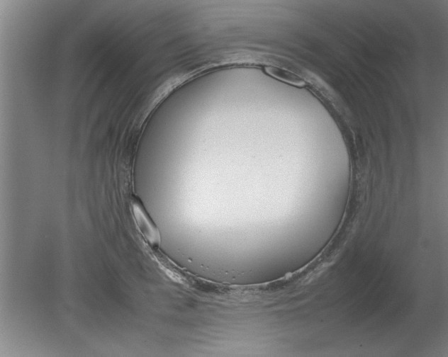 X0000080120993200612302005