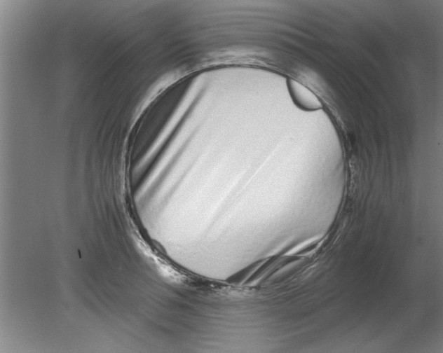 X0000080120994200612302005