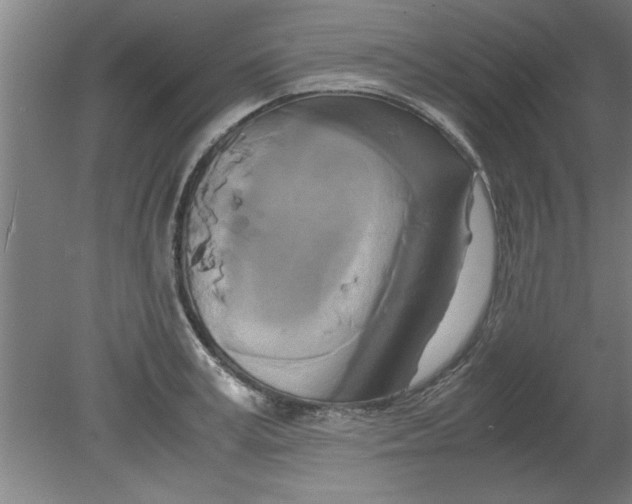 X0000080120995200612302005