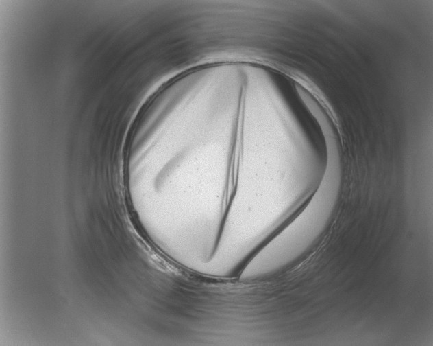 X0000080120996200612302005