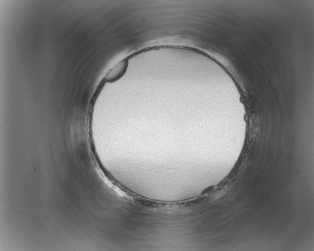 X0000080120998200612302005