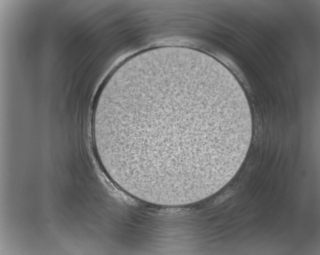 X0000080121000200612302005