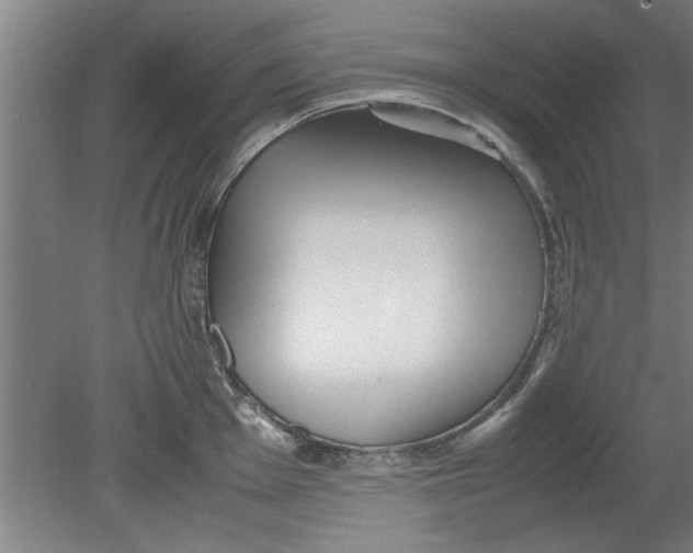 X0000080121001200612302005