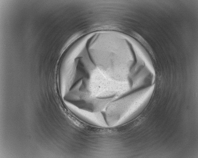 X0000080121002200612302005