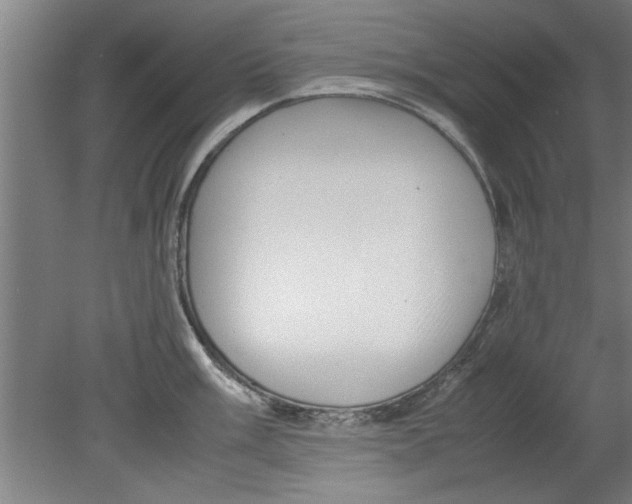 X0000080121003200612302005