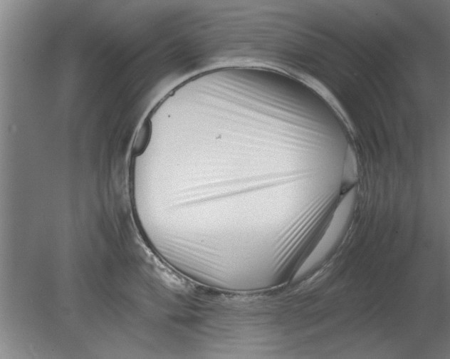 X0000080121004200612302005