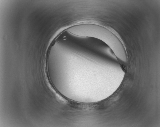 X0000080121005200612302005