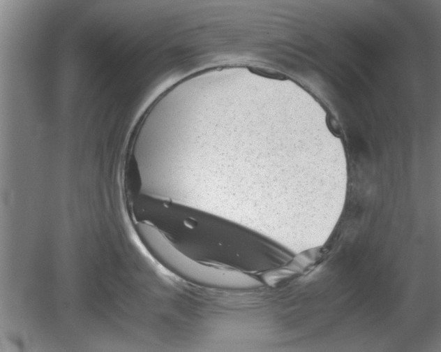 X0000080121007200612302005