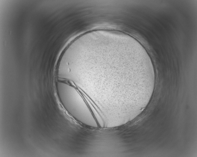 X0000080121008200612302005