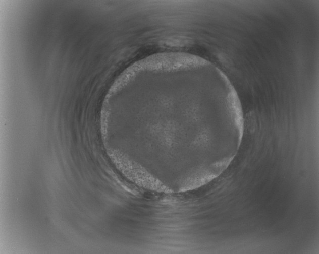 X0000080121009200612302004