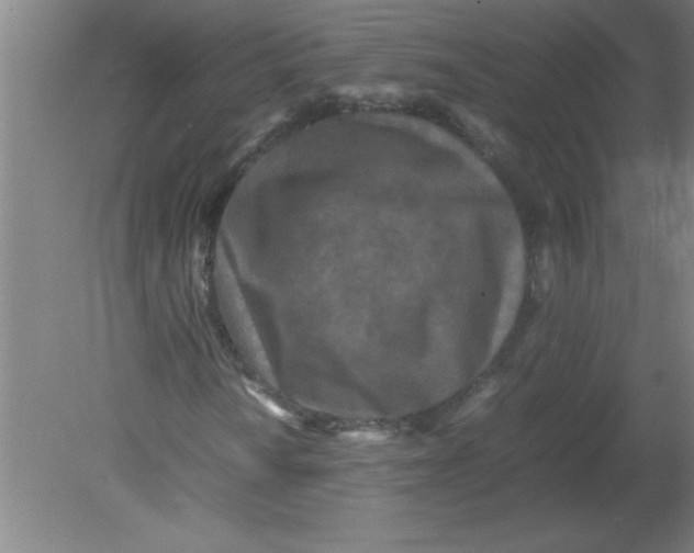 X0000080121010200612302004