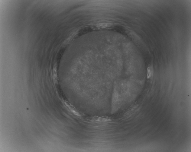 X0000080121011200612302004