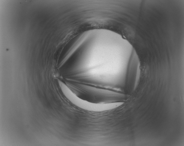 X0000080121012200612302004