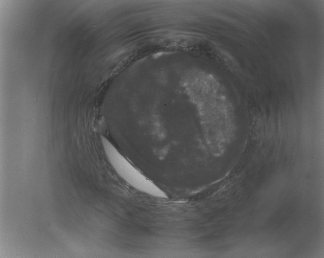 X0000080121013200612302004