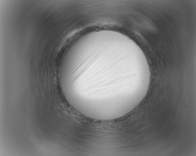 X0000080121016200612302005