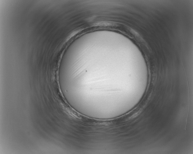 X0000080121017200612302005