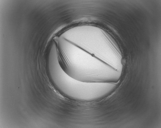 X0000080121018200612302005