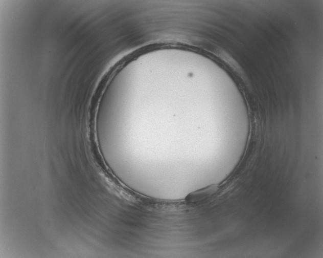 X0000080121020200612302005