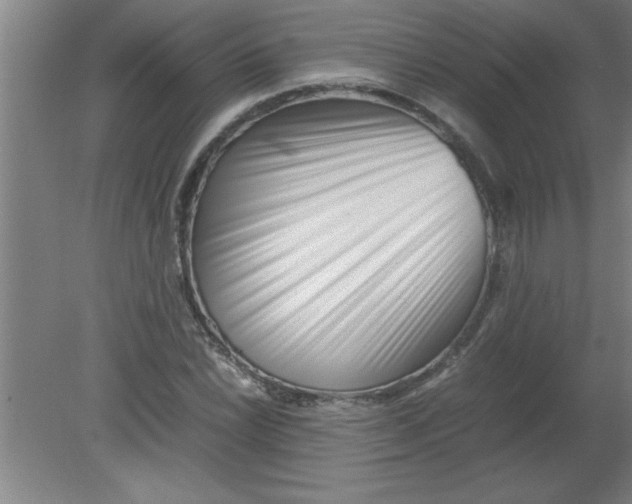 X0000080121022200612302005