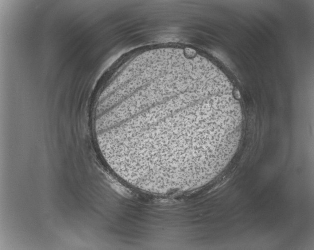 X0000080121023200612302005