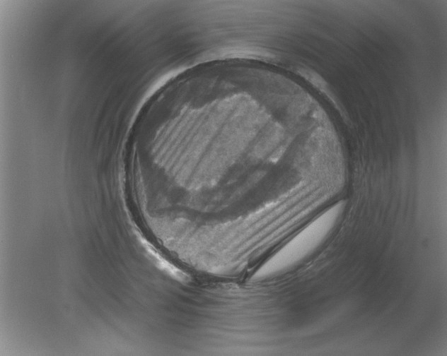 X0000080121024200612302005