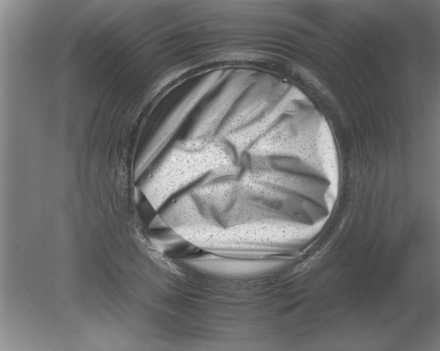 X0000080121025200612302005