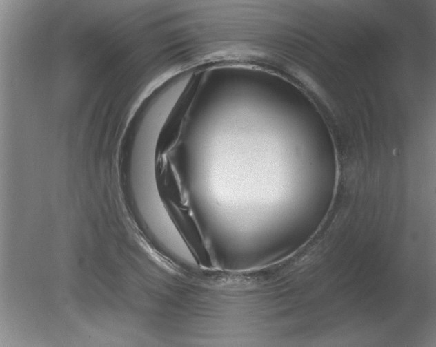 X0000080121026200612302005