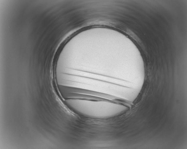 X0000080121028200612302005