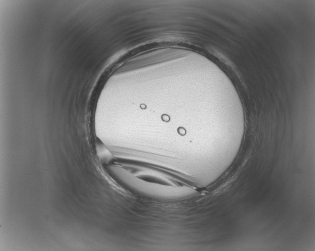 X0000080121029200612302005