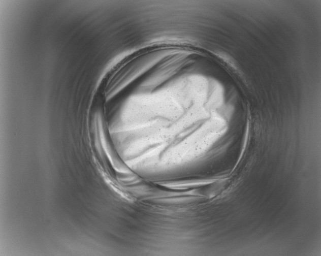 X0000080121030200612302005