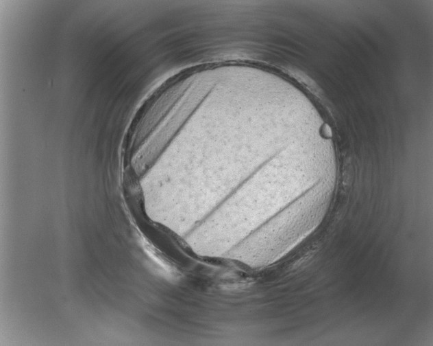 X0000080121031200612302005