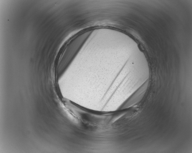 X0000080121032200612302005