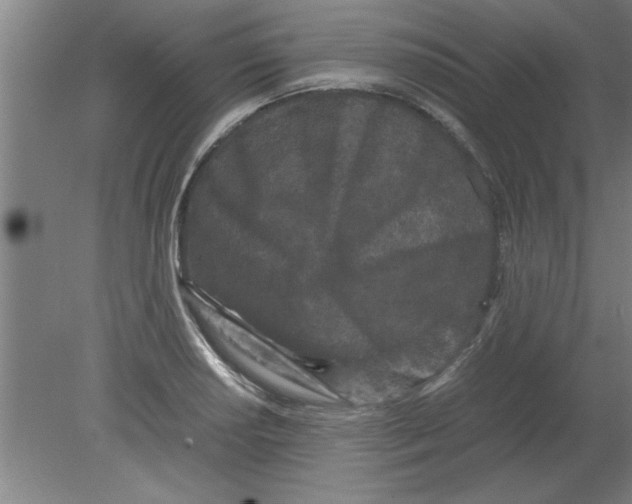 X0000080121034200612302005