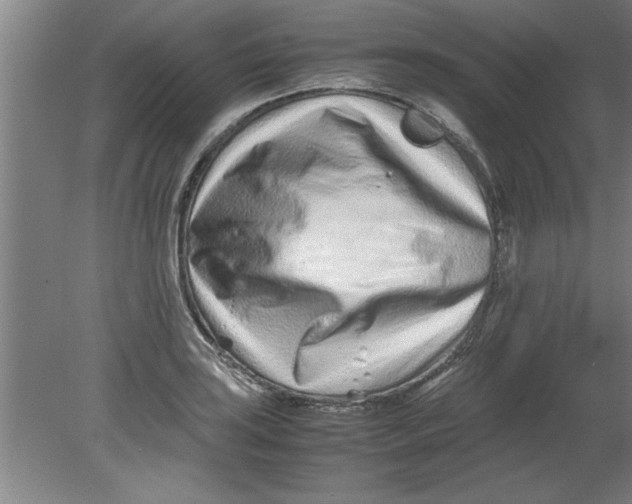 X0000080121035200612302005