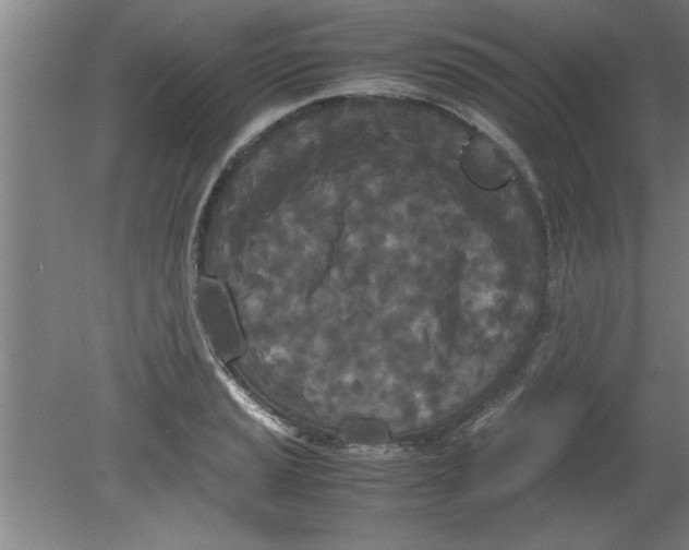 X0000080121037200612302005