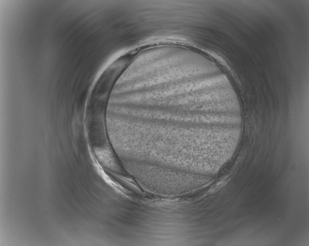 X0000080121038200612302005