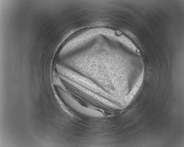 X0000080121039200612302005