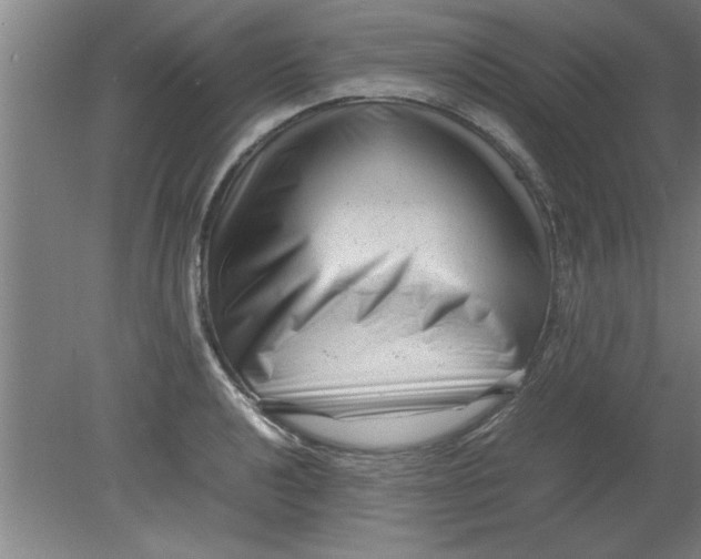 X0000080121040200612302005