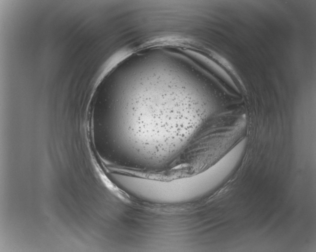 X0000080121042200612302005