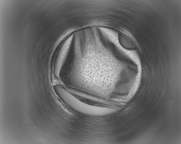 X0000080121043200612302005