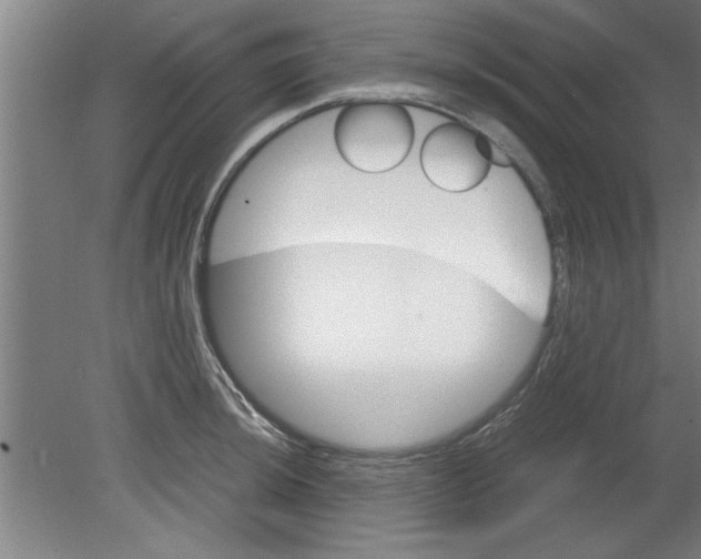 X0000080121044200612302005