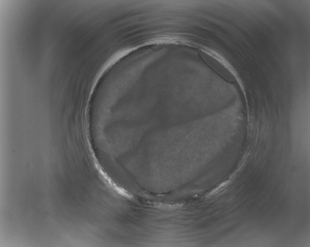 X0000080121045200612302005