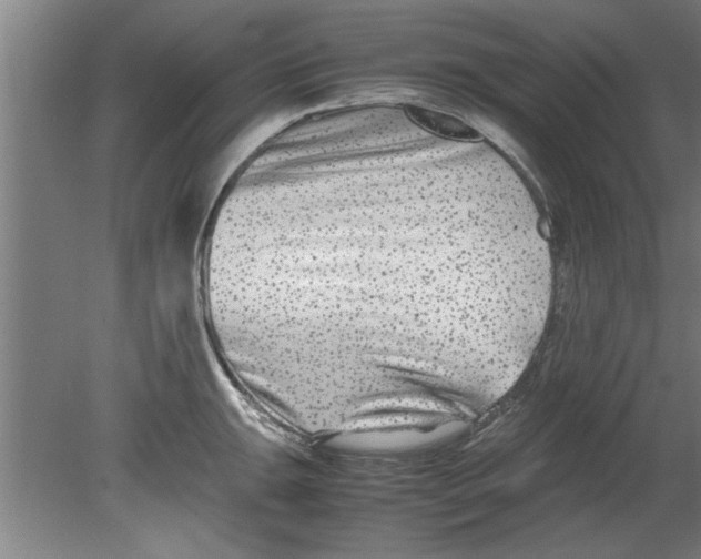 X0000080121047200612302005